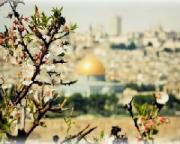 [108.4.3.1] Святая Земля. Иерусалим. 4 - 11  мая из Сочи.